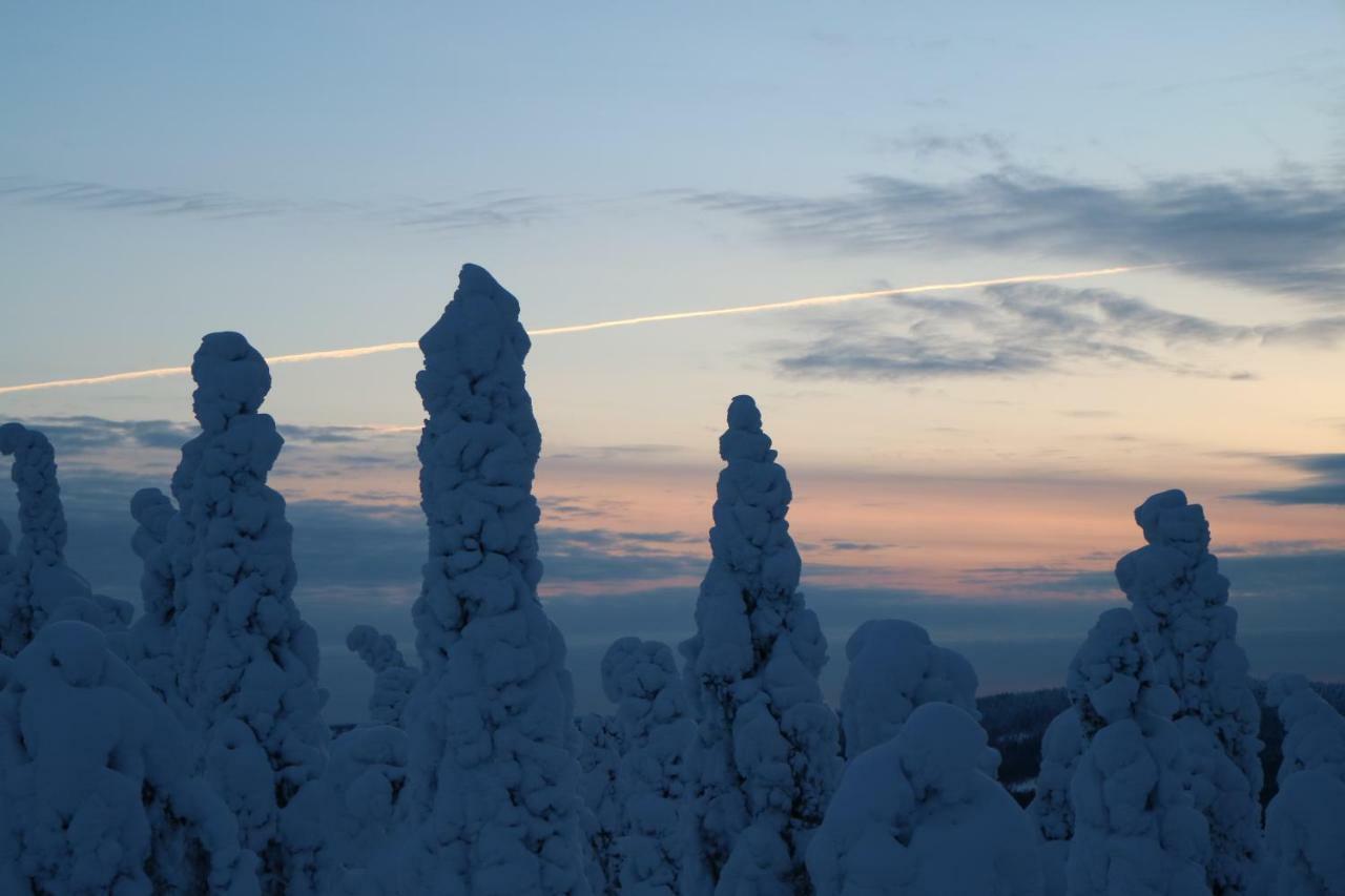 Polaris Homes For You Rovaniemi Dış mekan fotoğraf