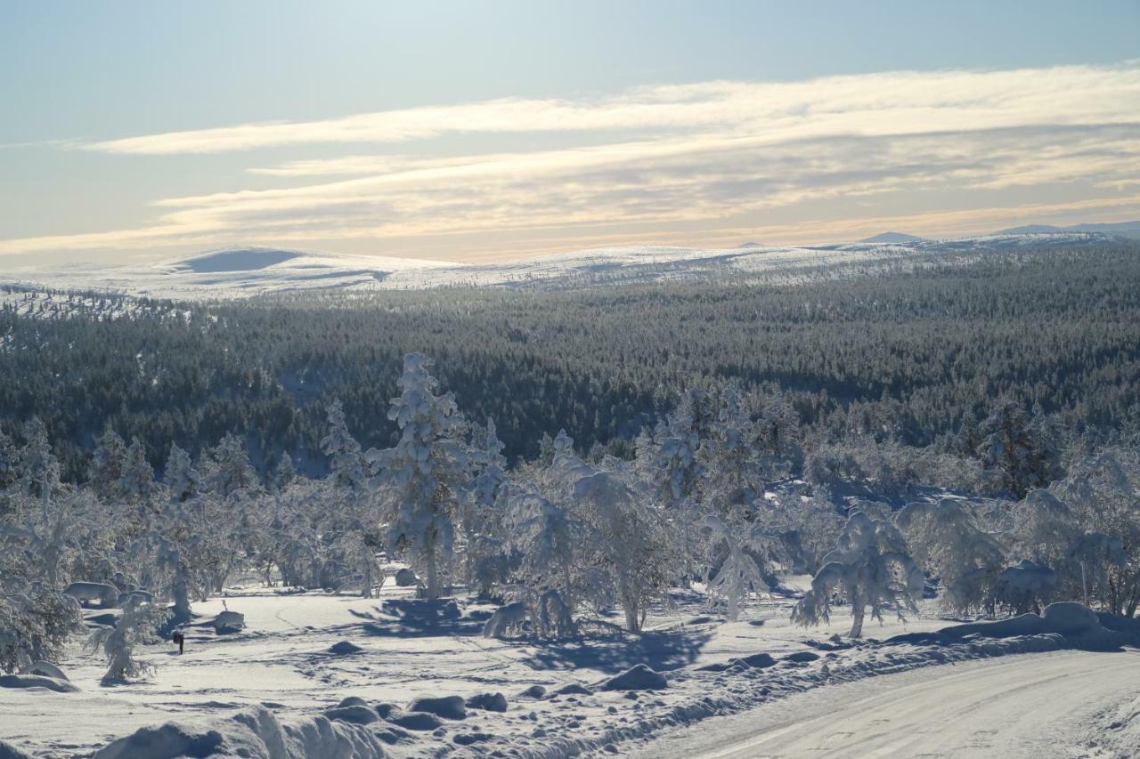 Polaris Homes For You Rovaniemi Dış mekan fotoğraf